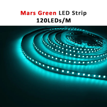 12V LED Strip SMD 2835 0.5M 1M 3M 5M LED Stripe Tape Light 120LED/M 240LED/M Warm White Flexible Strip Ribbon Home Decor Light