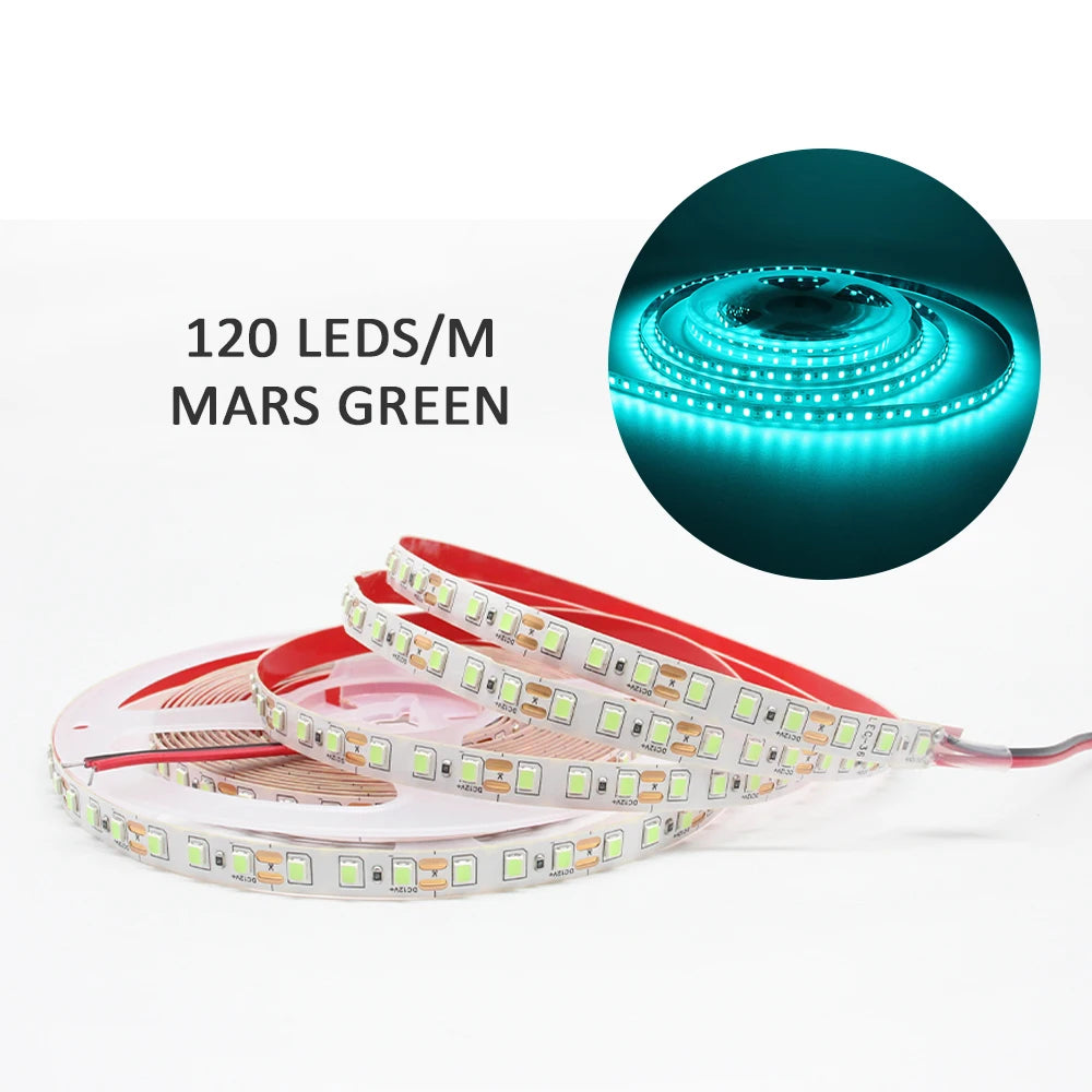 12V LED Strip SMD 2835 0.5M 1M 3M 5M LED Stripe Tape Light 120LED/M 240LED/M Warm White Flexible Strip Ribbon Home Decor Light