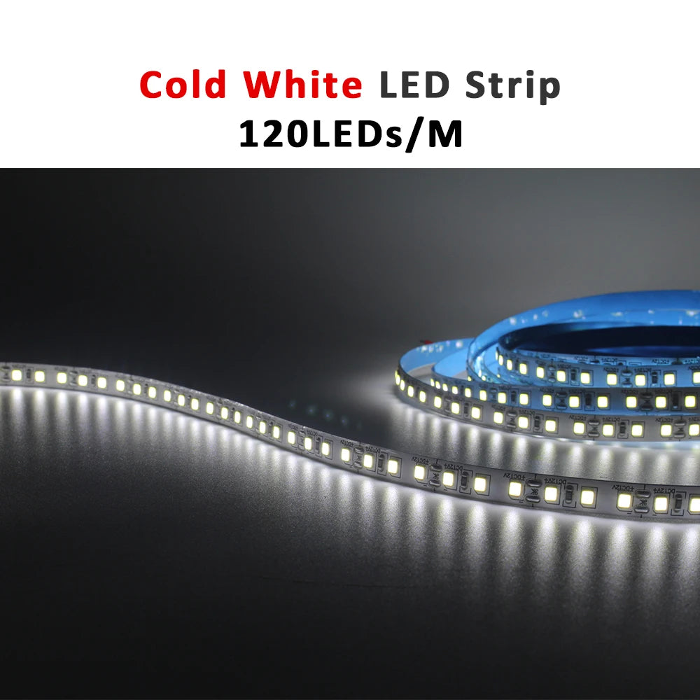 12V LED Strip SMD 2835 0.5M 1M 3M 5M LED Stripe Tape Light 120LED/M 240LED/M Warm White Flexible Strip Ribbon Home Decor Light