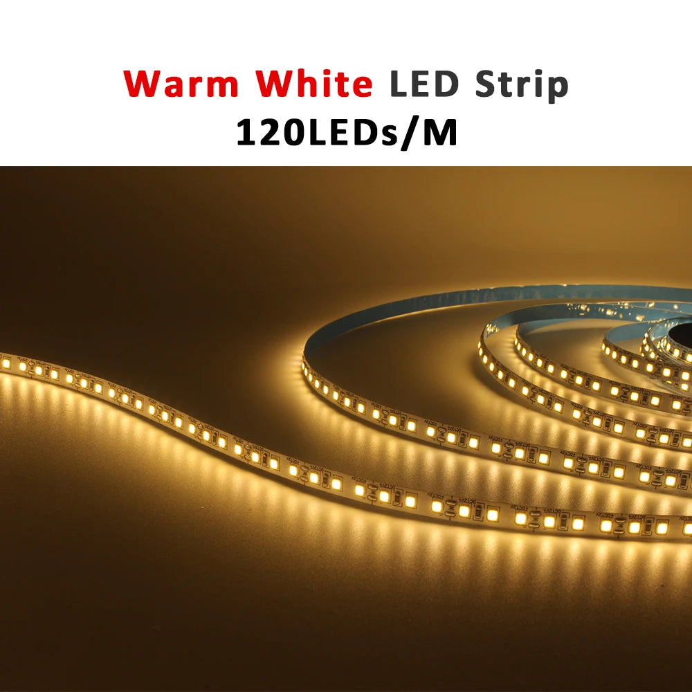 12V LED Strip SMD 2835 0.5M 1M 3M 5M LED Stripe Tape Light 120LED/M 240LED/M Warm White Flexible Strip Ribbon Home Decor Light