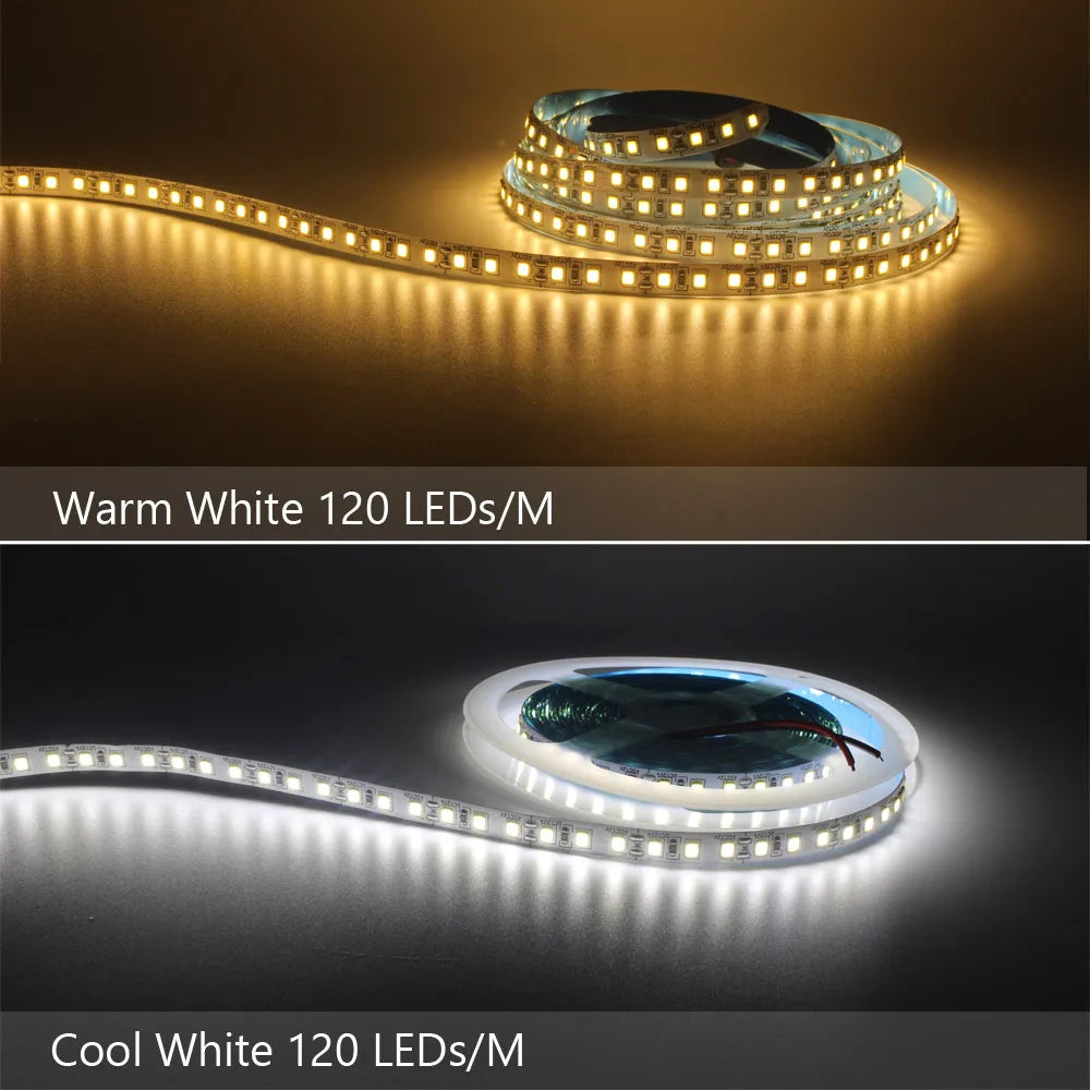 12V LED Strip SMD 2835 0.5M 1M 3M 5M LED Stripe Tape Light 120LED/M 240LED/M Warm White Flexible Strip Ribbon Home Decor Light