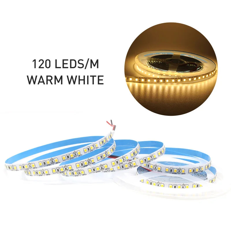12V LED Strip SMD 2835 0.5M 1M 3M 5M LED Stripe Tape Light 120LED/M 240LED/M Warm White Flexible Strip Ribbon Home Decor Light