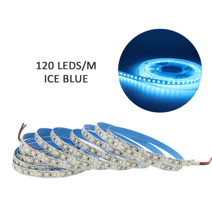 12V LED Strip SMD 2835 0.5M 1M 3M 5M LED Stripe Tape Light 120LED/M 240LED/M Warm White Flexible Strip Ribbon Home Decor Light