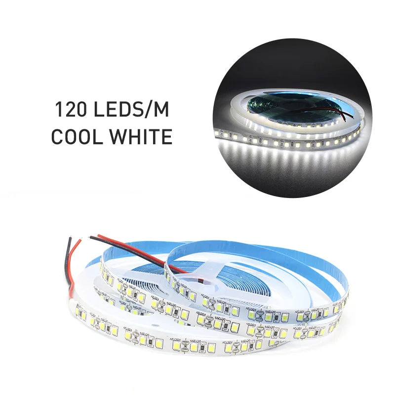 12V LED Strip SMD 2835 0.5M 1M 3M 5M LED Stripe Tape Light 120LED/M 240LED/M Warm White Flexible Strip Ribbon Home Decor Light