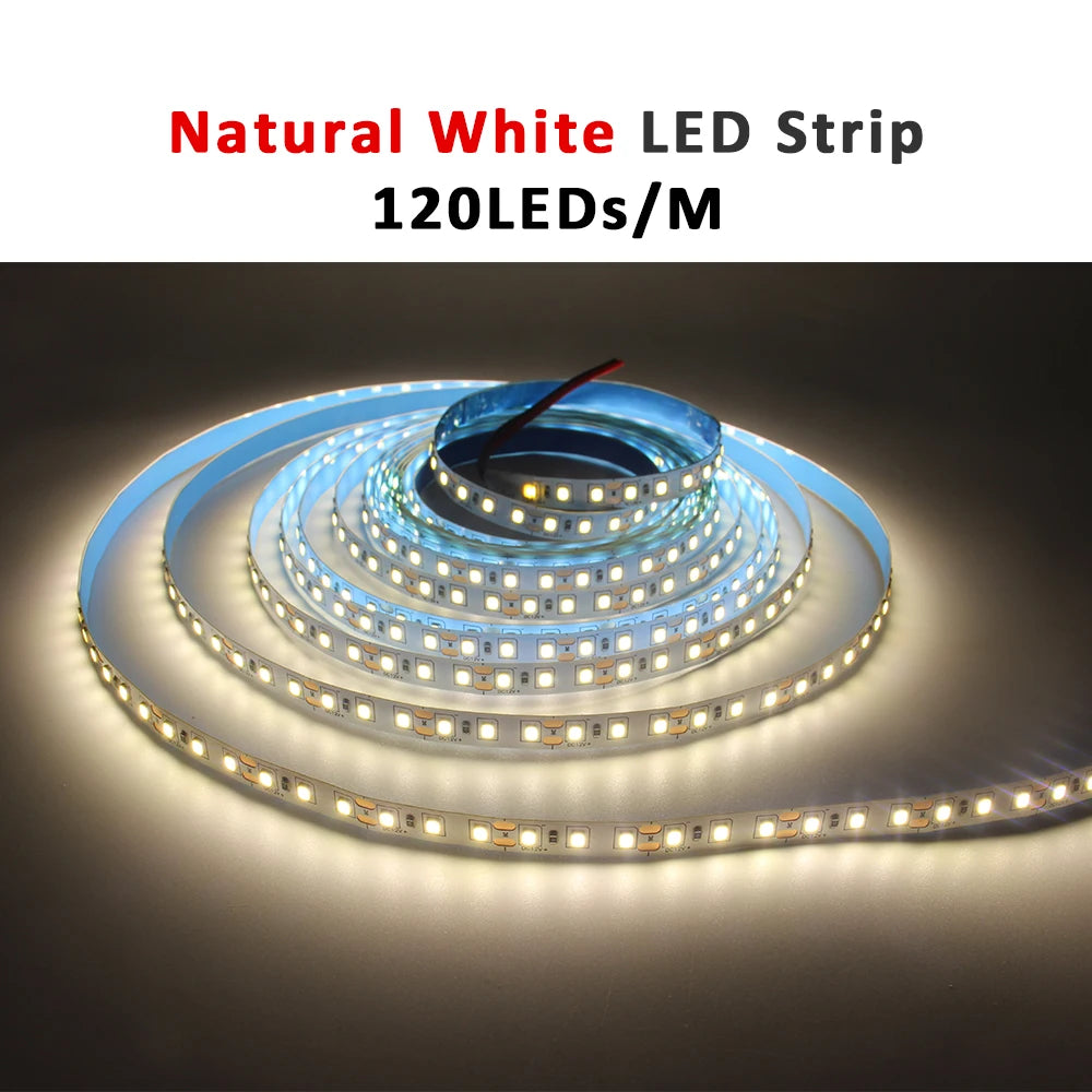 12V LED Strip SMD 2835 0.5M 1M 3M 5M LED Stripe Tape Light 120LED/M 240LED/M Warm White Flexible Strip Ribbon Home Decor Light