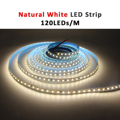 12V LED Strip SMD 2835 0.5M 1M 3M 5M LED Stripe Tape Light 120LED/M 240LED/M Warm White Flexible Strip Ribbon Home Decor Light